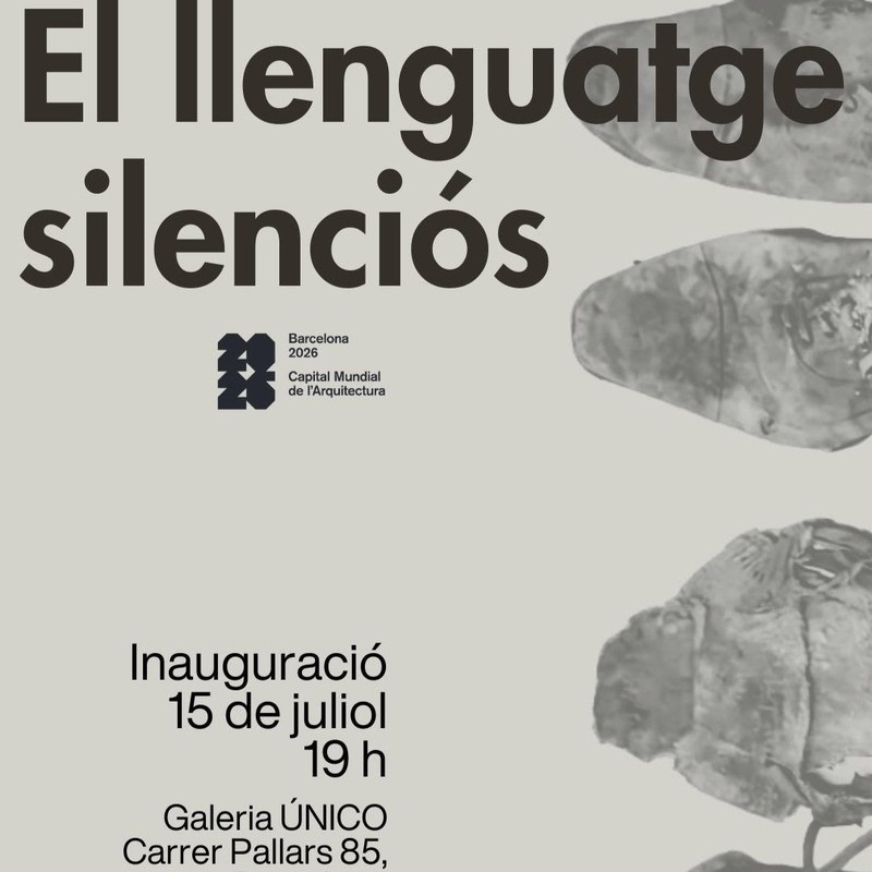El llenguatge silenciós