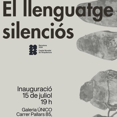 El llenguatge silenciós
